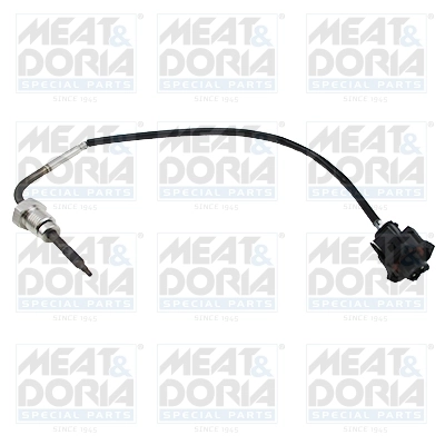 Sensor, exhaust gas temperature